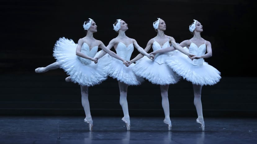 Maestro get ready to play: Swan Lake — aria — Paris Opera
