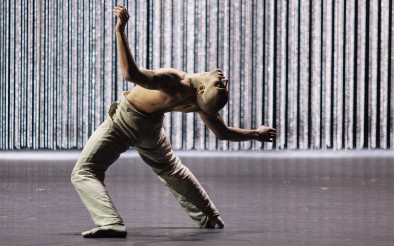 De l’animal au spirituel : Loup Marcault-Derouard répète Gods and Dogs