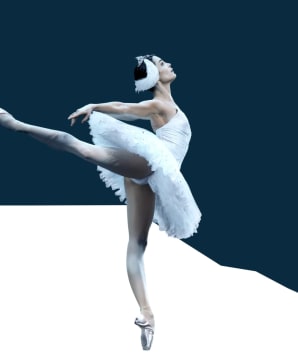 Swan Lake