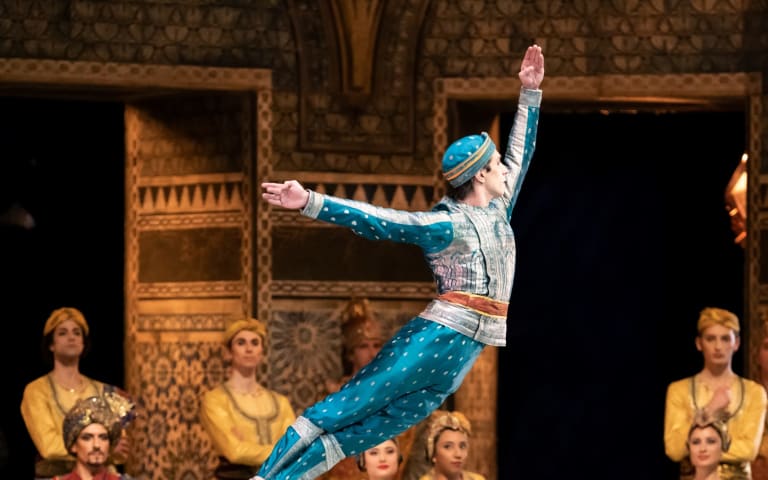 La vraie-fausse histoire de La Bayadère