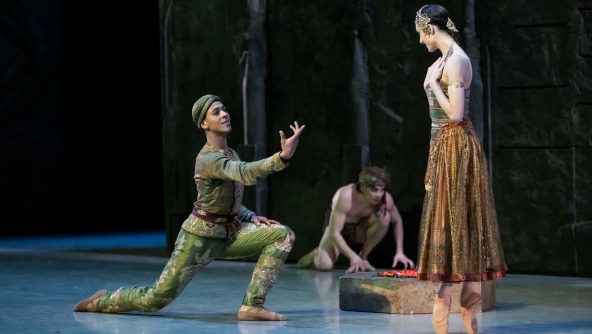 Solor according to Guillaume Diop