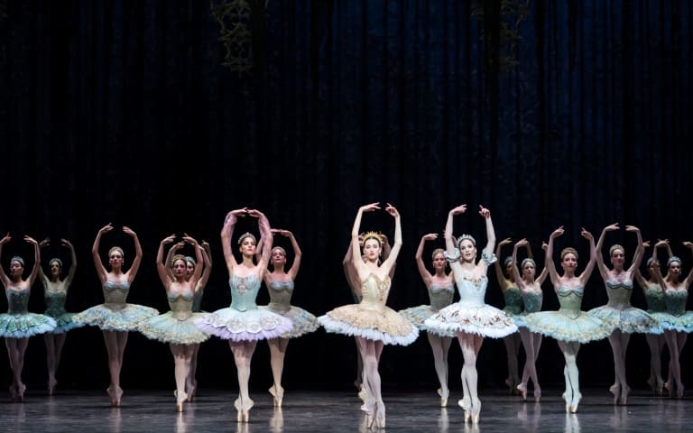 Don Quichotte sous toutes ses coutures