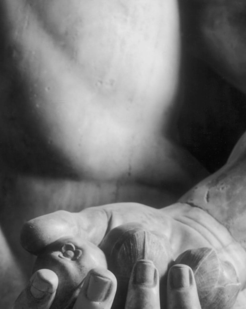 La vraie-fausse histoire d'Ercole Amante