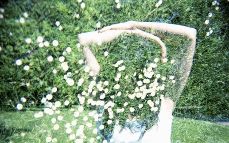 La Finta Giardiniera, the true/false story