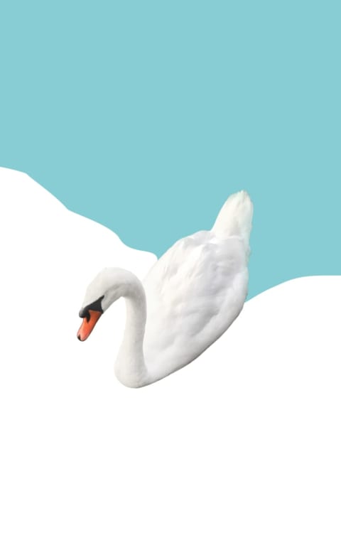 alternate text for the image