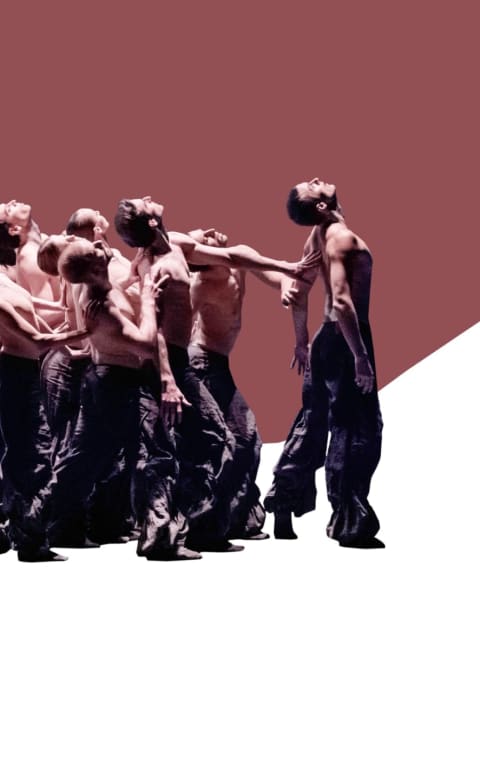 alternate text for the image