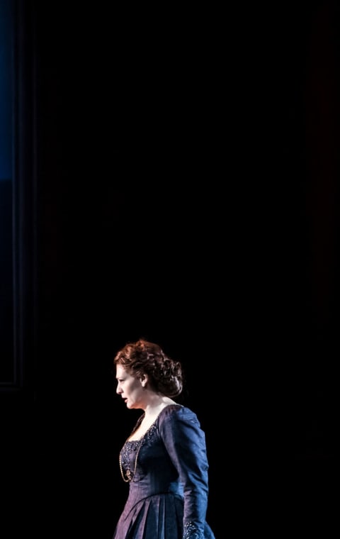 alternate text for the image