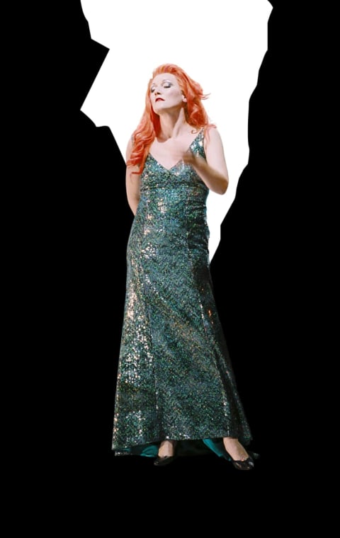 alternate text for the image