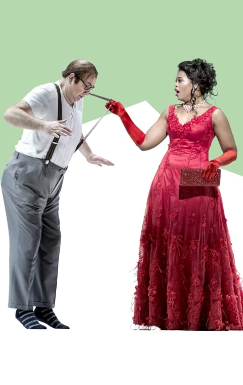 alternate text for the image