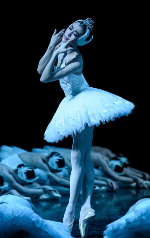 alternate text for the image