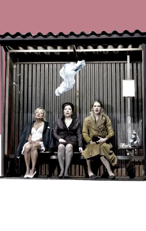 alternate text for the image