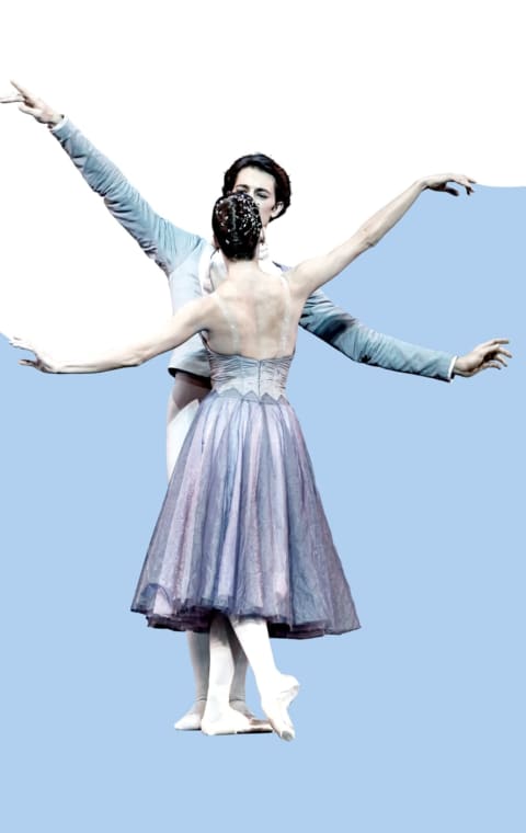 alternate text for the image