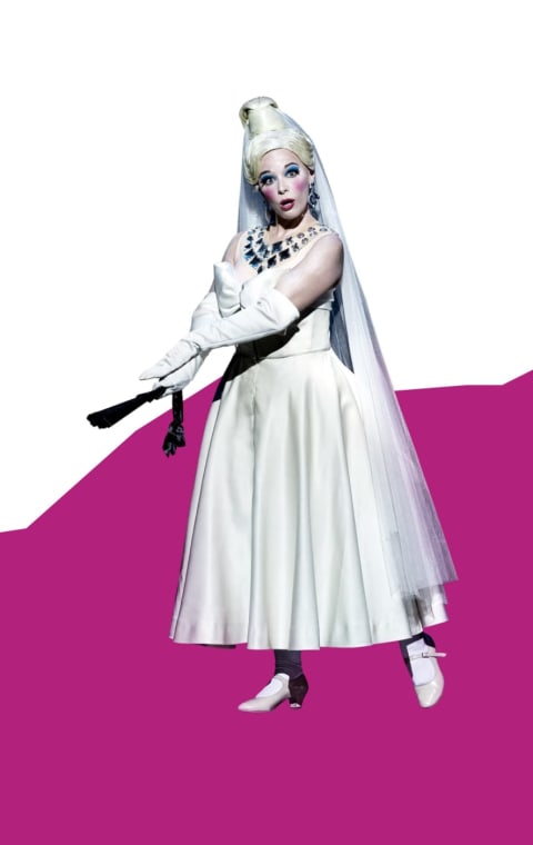 alternate text for the image