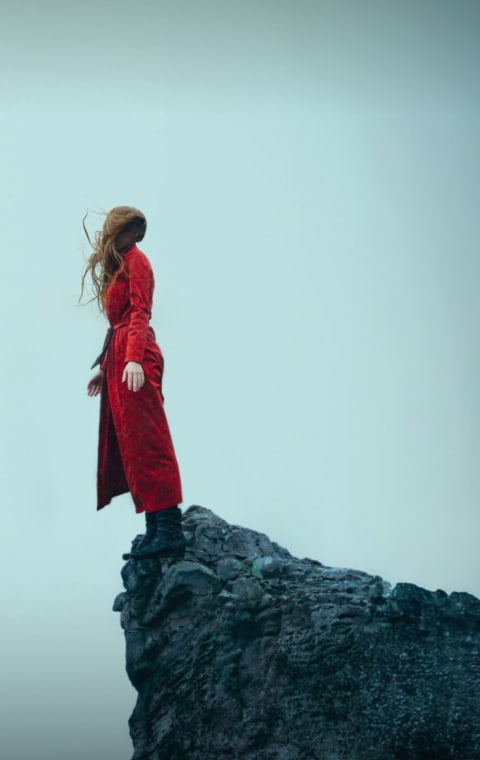 alternate text for the image