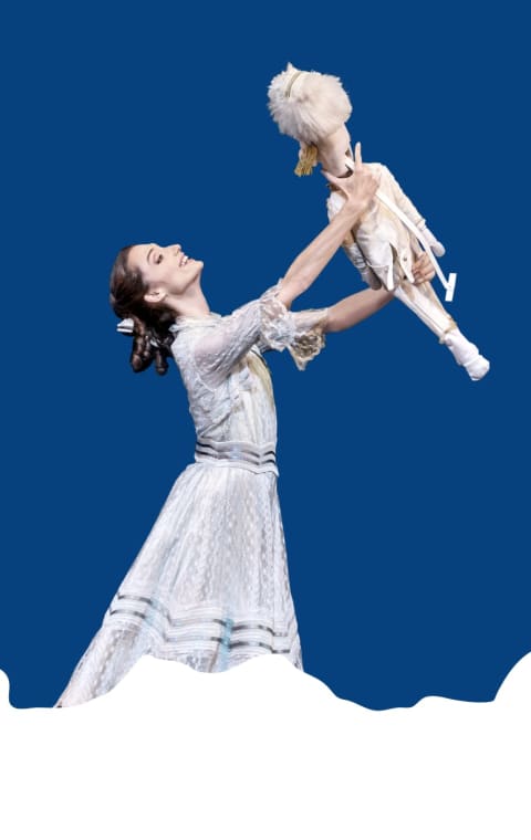 alternate text for the image