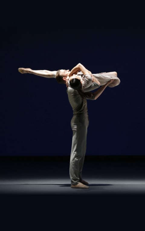 alternate text for the image