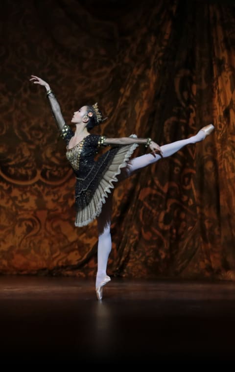 alternate text for the image