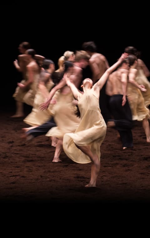 alternate text for the image