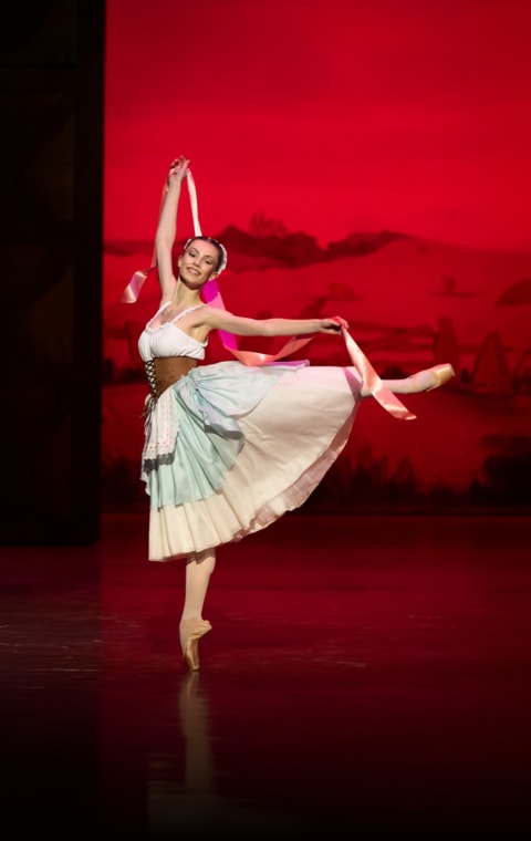 alternate text for the image