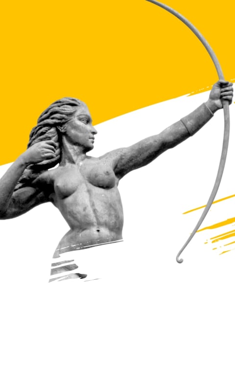 alternate text for the image