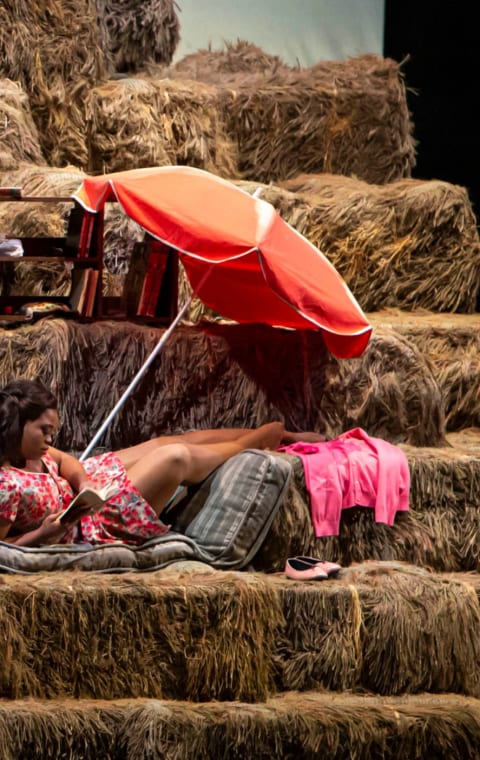 alternate text for the image