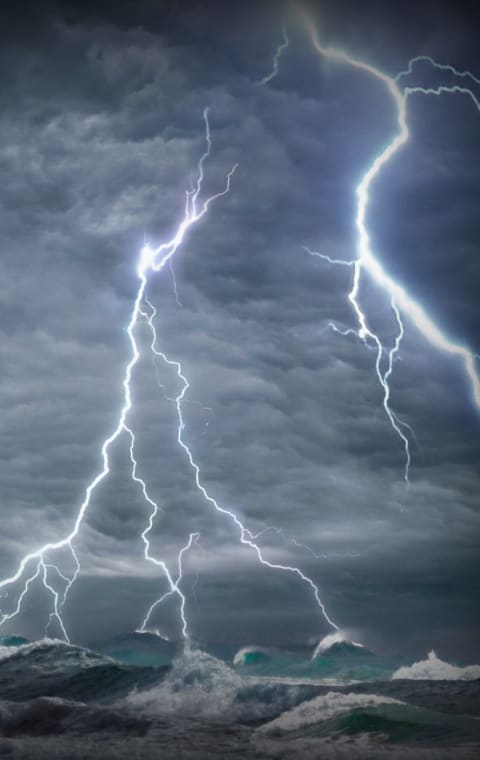 alternate text for the image