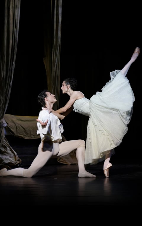 alternate text for the image