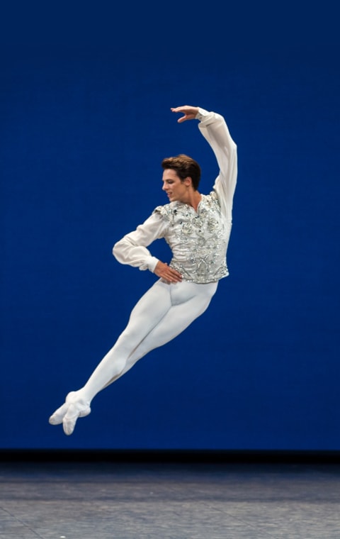 alternate text for the image