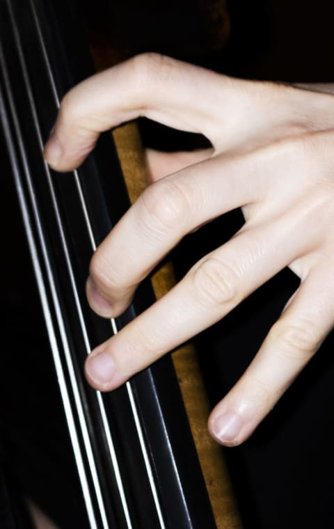 alternate text for the image