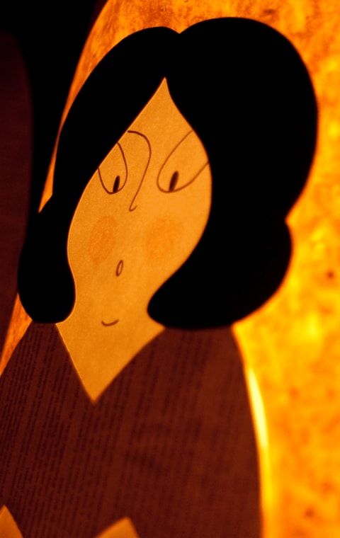 alternate text for the image