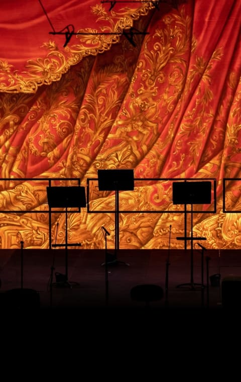 alternate text for the image