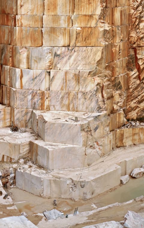 alternate text for the image