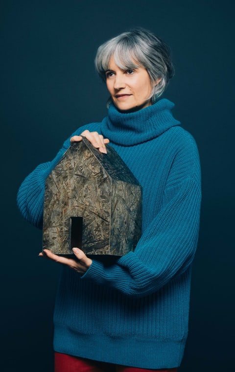 alternate text for the image