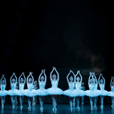 Swan Lake