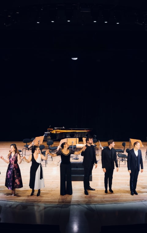 alternate text for the image