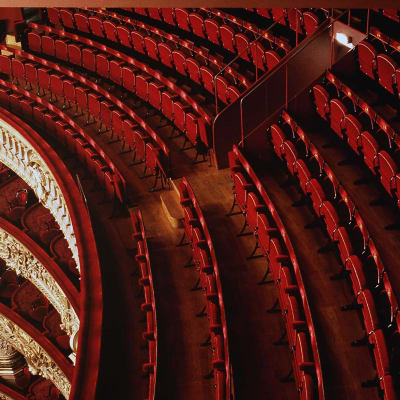 Concert du 15 novembre