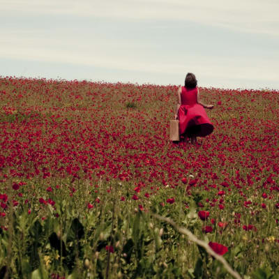 The Wayward Daughter