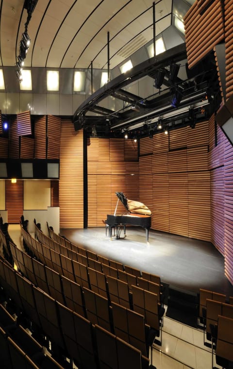 alternate text for the image