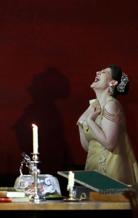 alternate text for the image