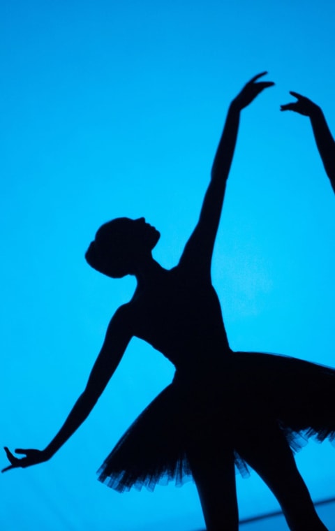 alternate text for the image