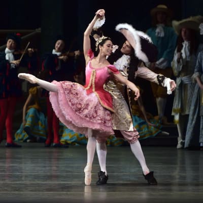 La Belle au bois dormant