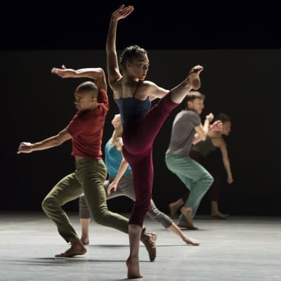 Batsheva Dance Company