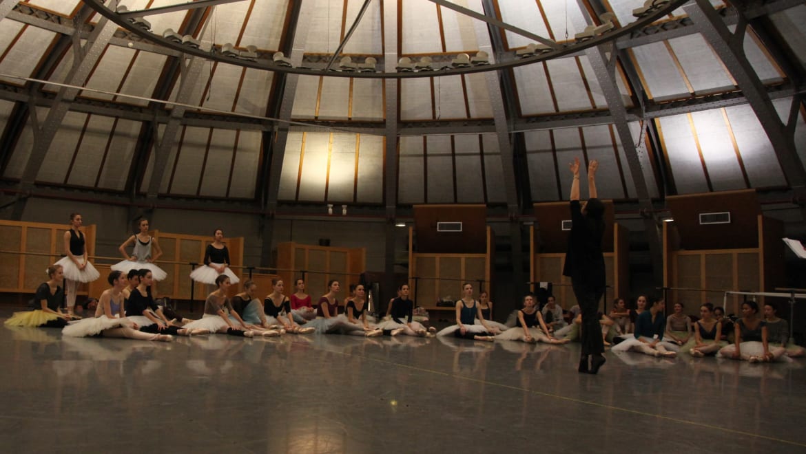 Les cygnes du « Lac »