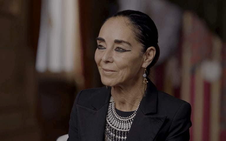 SHIRIN NESHAT about AIDA