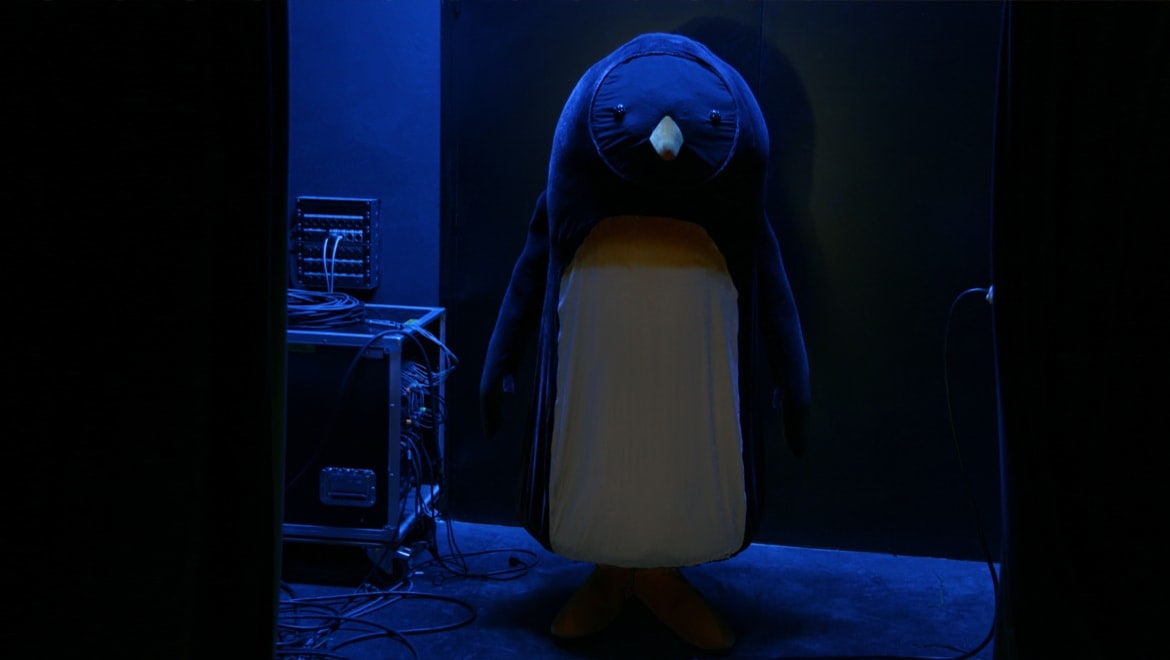Portfolio | Une vie de pingouin
