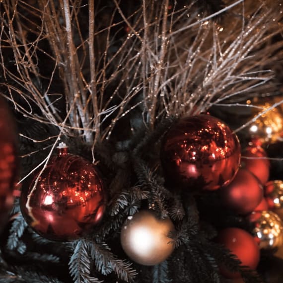 This festive season, offer the Paris Opera! Discover the Opera