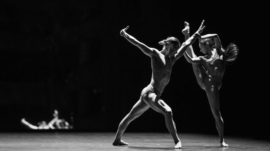 « Tree of Codes », Palais Garnier, 2017