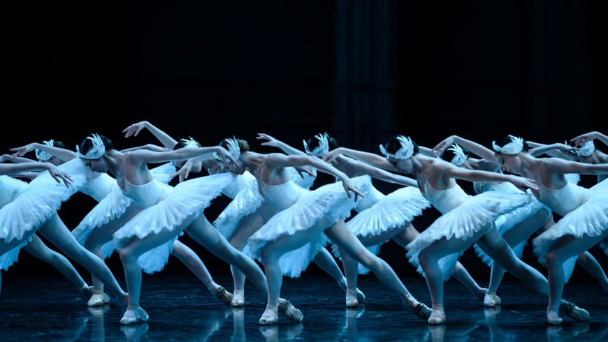 Le Lac des cygnes, Rudolf Noureev 