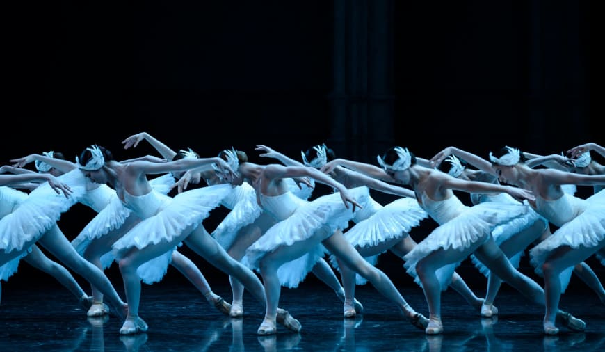 Le Lac des cygnes, Rudolf Noureev 