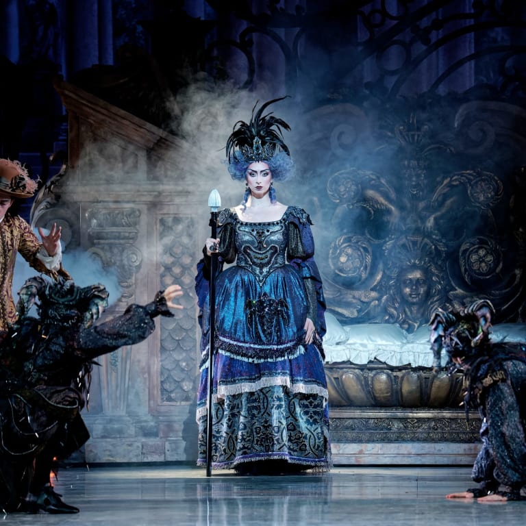 Agrandir l'image La Belle au bois dormant (saison 24/25)